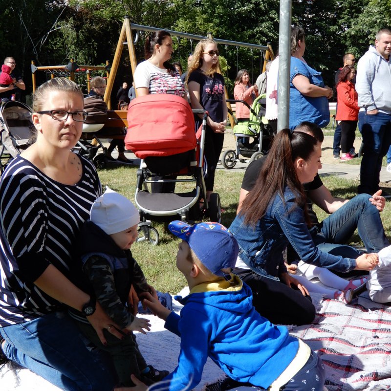 Életfa ültetés a város napján 24